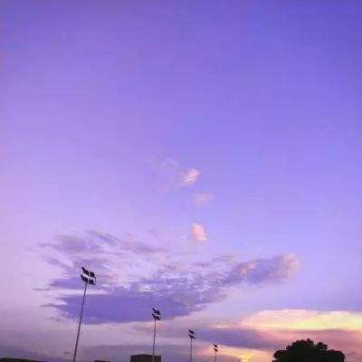 三张牌下载金花免费手机app下载