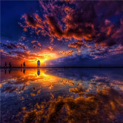 星空体育在线网页版