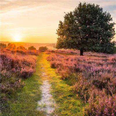 best365官网app下载